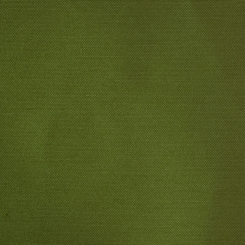 SJA3970-Solids Lichen
