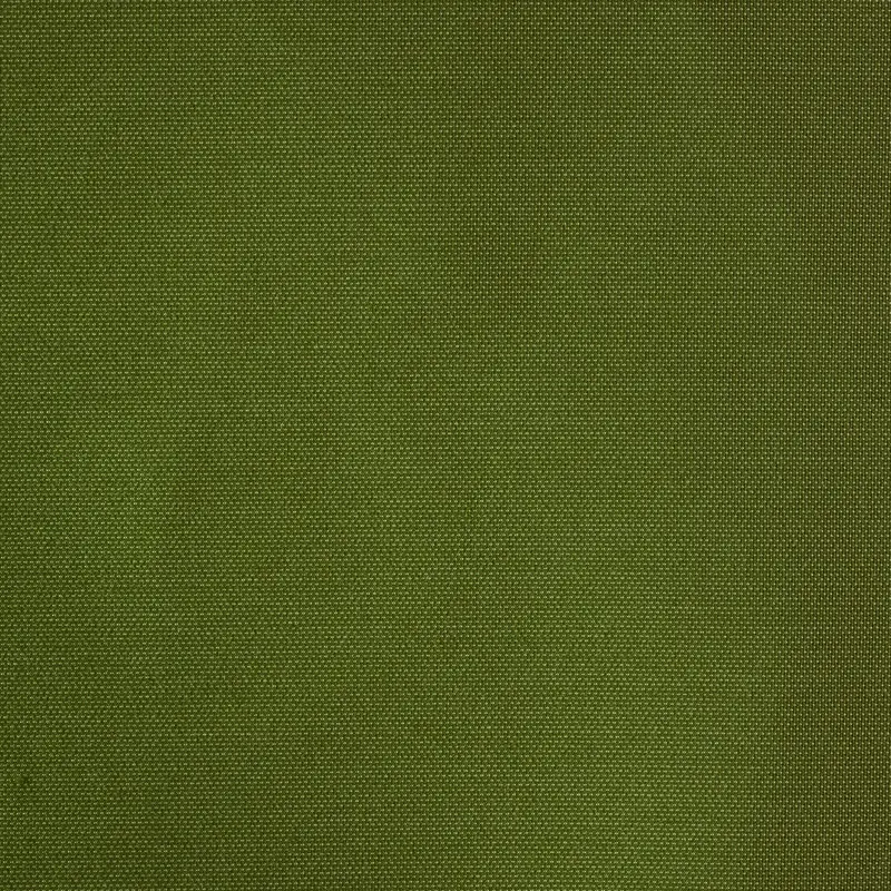 Sunbrella Solids Lichen SJA 3970