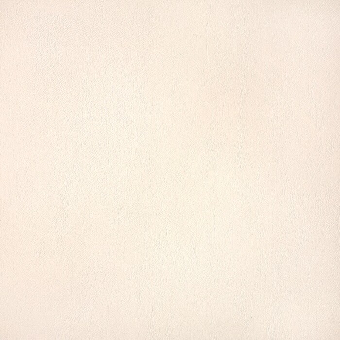 Sunbrella Horizon Capriccio Ivory 10200-03