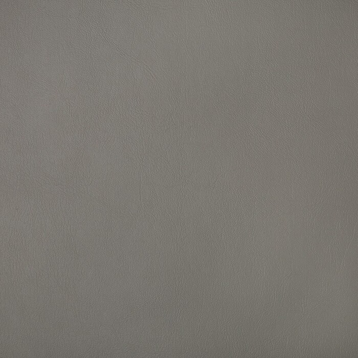 Sunbrella Horizon Capriccio Grey 10200-11